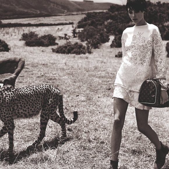 👑😻 Speedy 25 LV Purse Organizer @AlgorithmBags - Picture 14 of 15